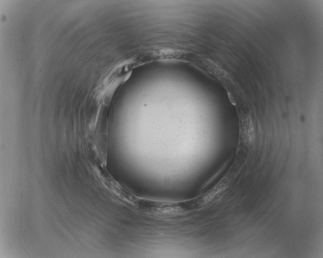 X0000055520716200509022124