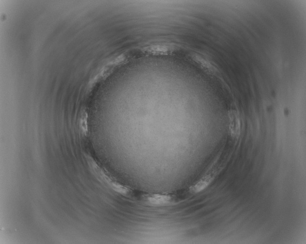 X0000055520718200509022124