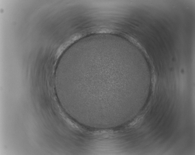 X0000055520721200509022123