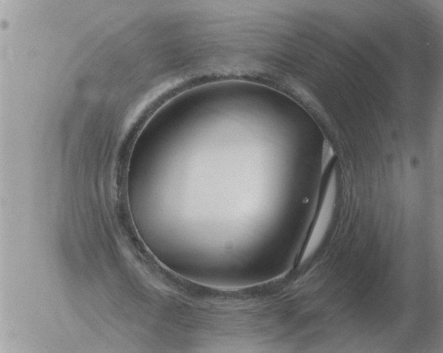 X0000055520722200509022123