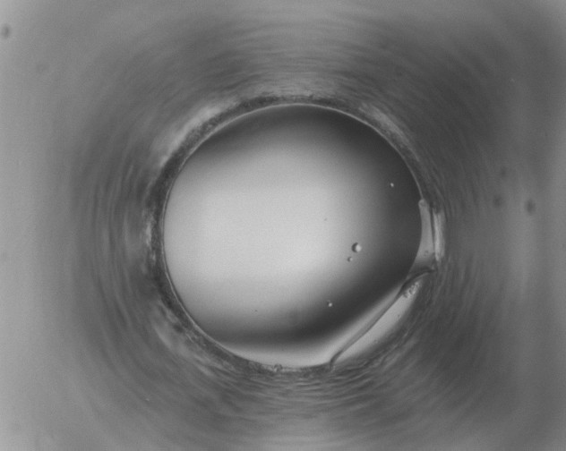 X0000055520723200509022123