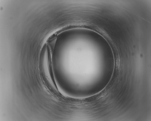 X0000055520724200509022123