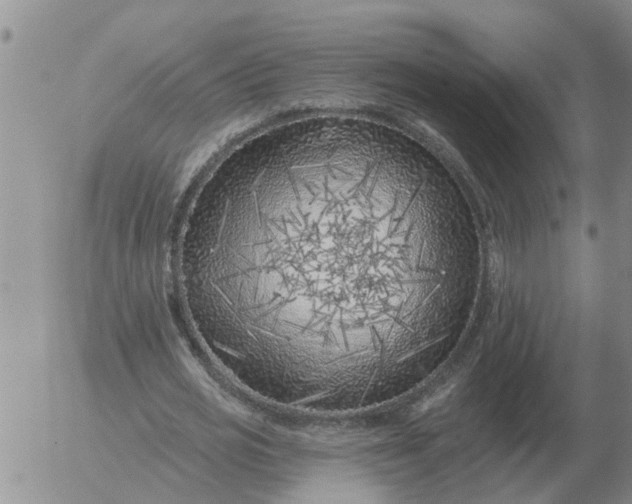 X0000055520725200509022123