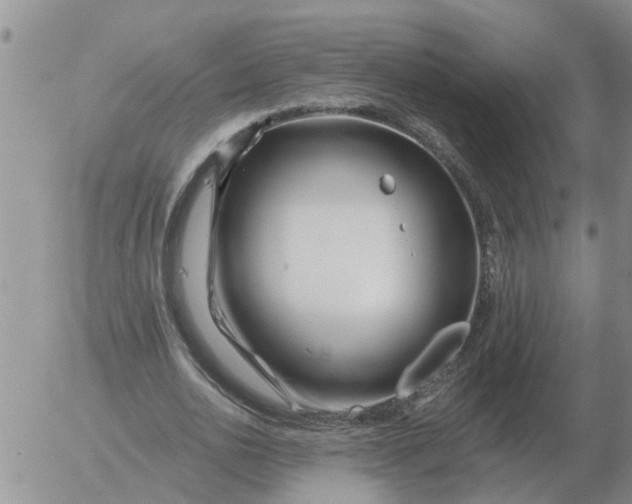 X0000055520726200509022123