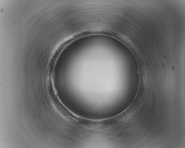 X0000055520728200509022123