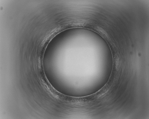 X0000055520729200509022123