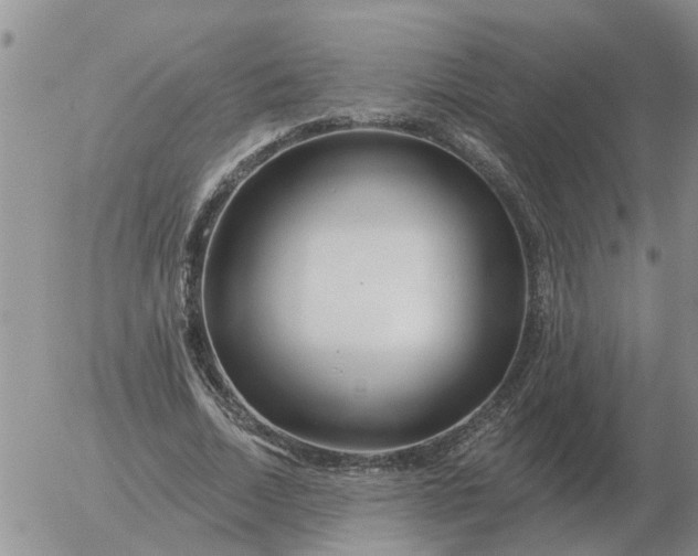 X0000055520730200509022123