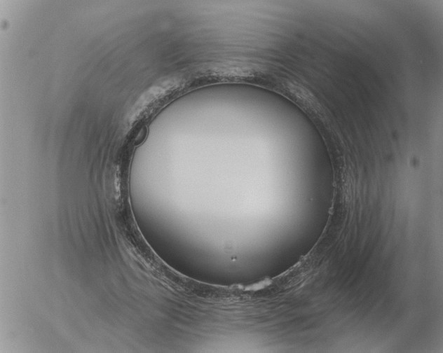 X0000055520731200509022123