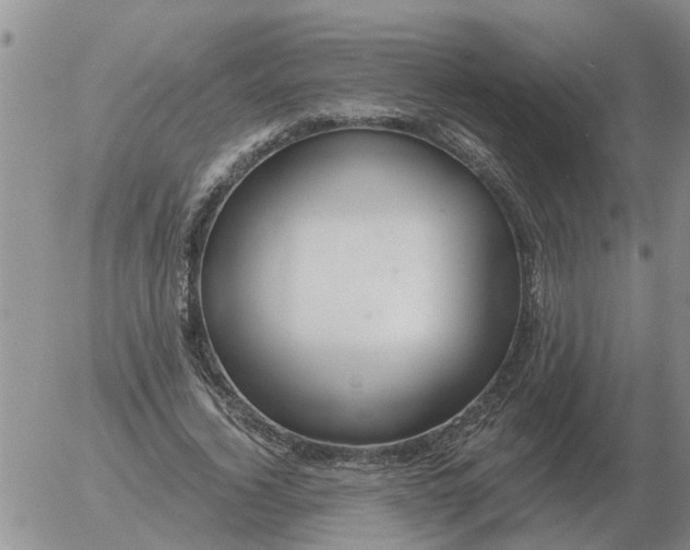 X0000055520732200509022123