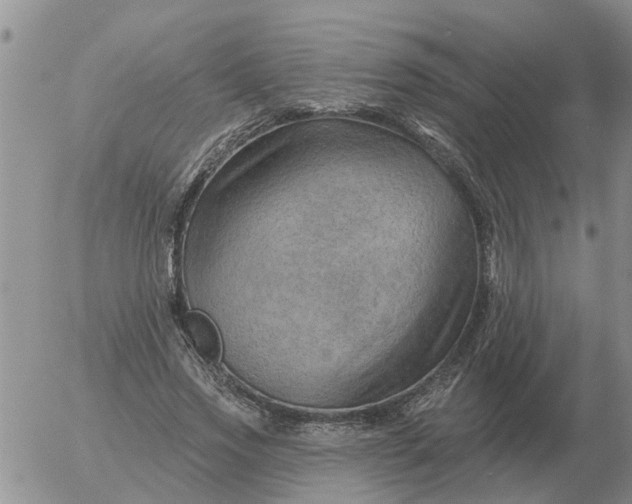 X0000055520733200509022123