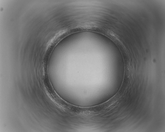 X0000055520734200509022123