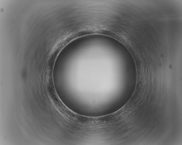 X0000055520736200509022123