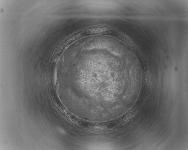 X0000055520737200509022123