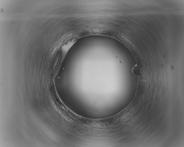 X0000055520738200509022123