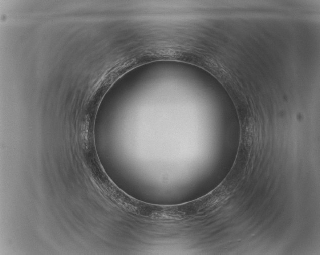 X0000055520739200509022123