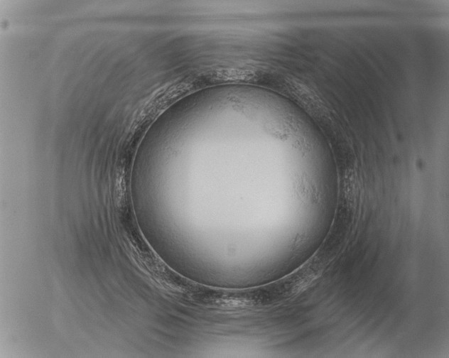 X0000055520741200509022123