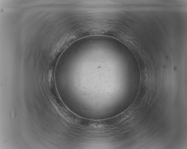 X0000055520742200509022123