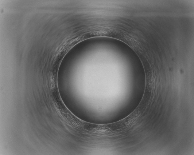 X0000055520743200509022123