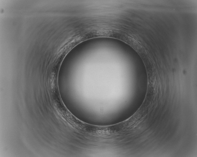 X0000055520744200509022123