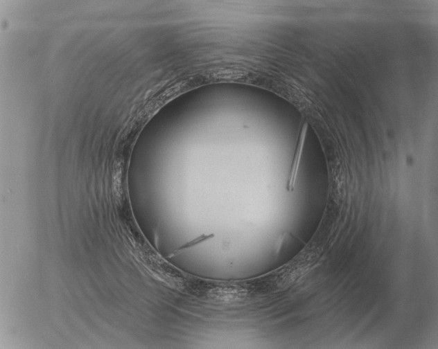 X0000055520745200509022123