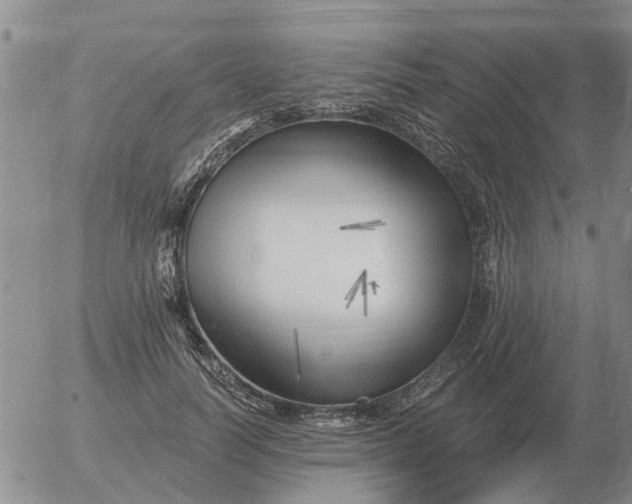 X0000055520746200509022123