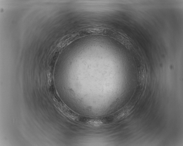 X0000055520749200509022123