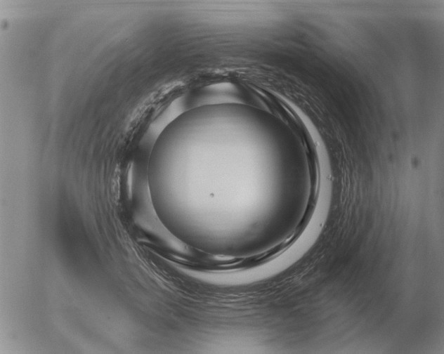 X0000055520750200509022123