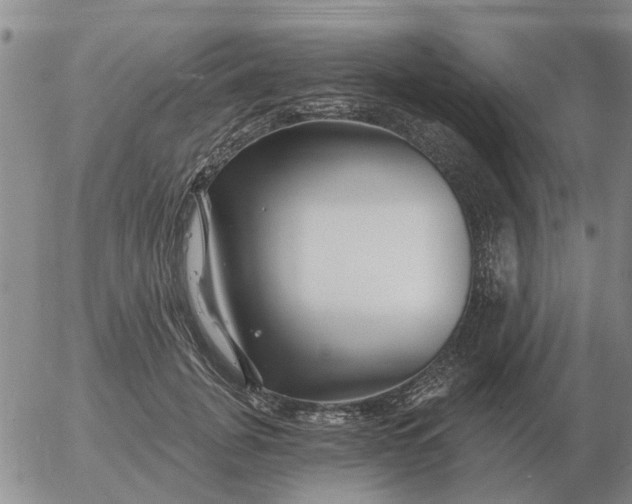 X0000055520751200509022123