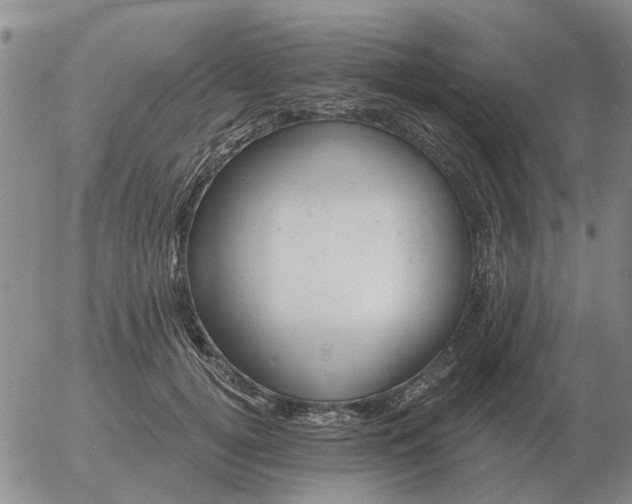 X0000055520752200509022123