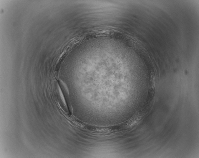 X0000055520753200509022123