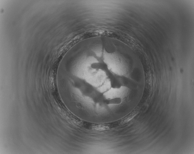 X0000055520754200509022123