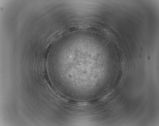 X0000055520757200509022123