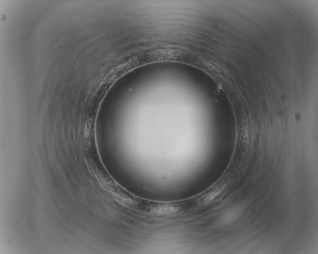 X0000055520759200509022123