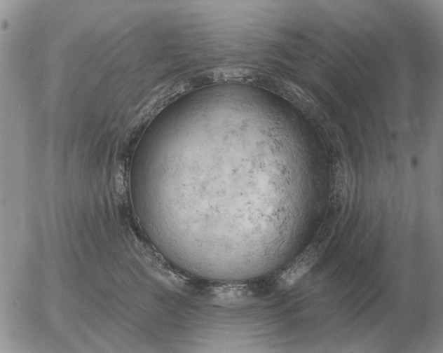 X0000055520761200509022123