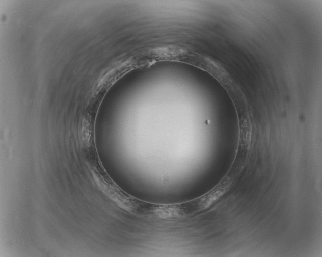 X0000055520762200509022123