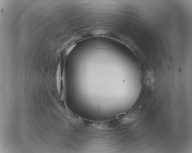 X0000055520763200509022123