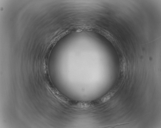 X0000055520764200509022123