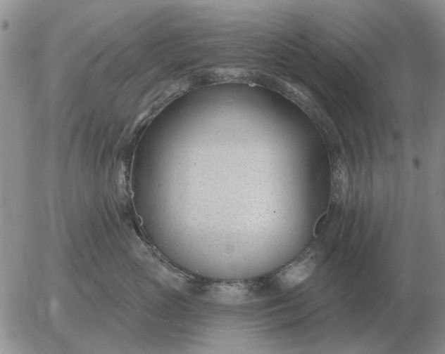 X0000055520765200509022123