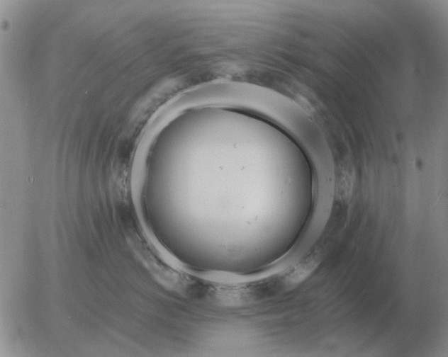 X0000055520766200509022123