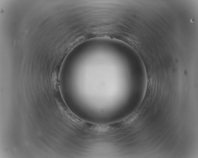 X0000055520767200509022123