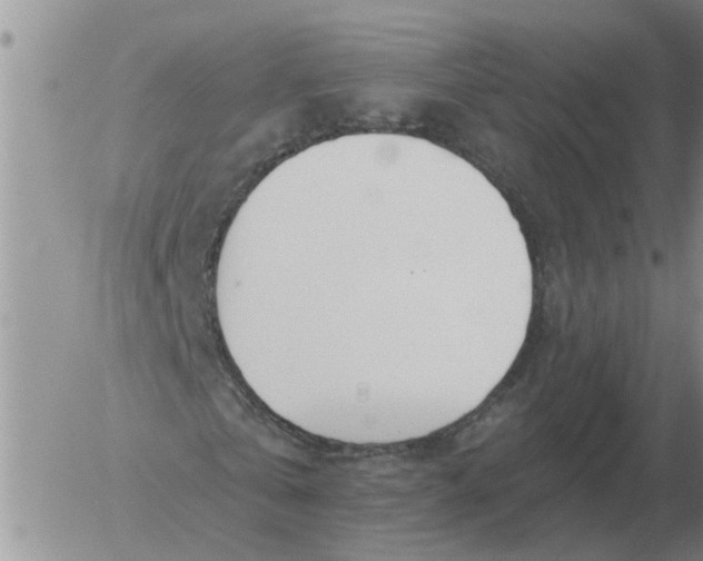 X0000055520769200509022123