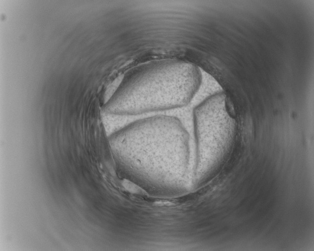 X0000055520770200509022123