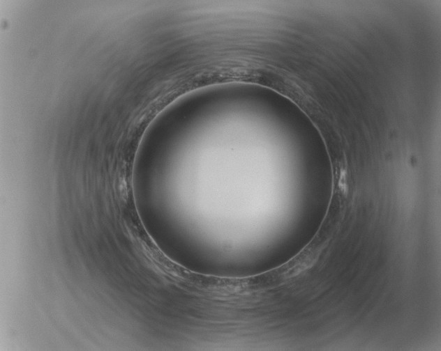 X0000055520771200509022123