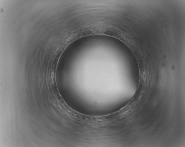 X0000055520772200509022123