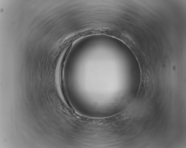 X0000055520773200509022123