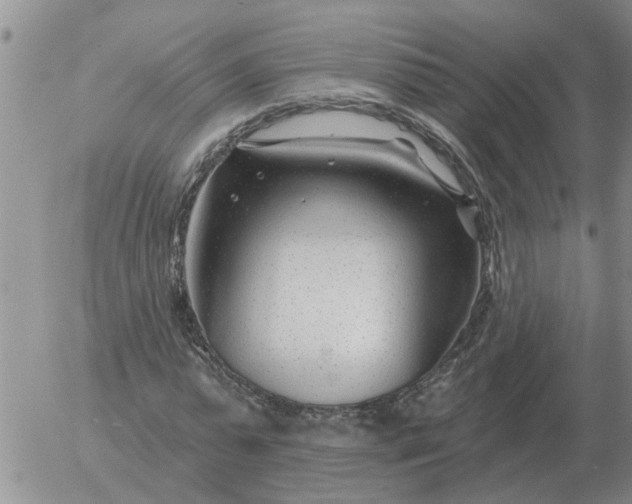 X0000055520775200509022123