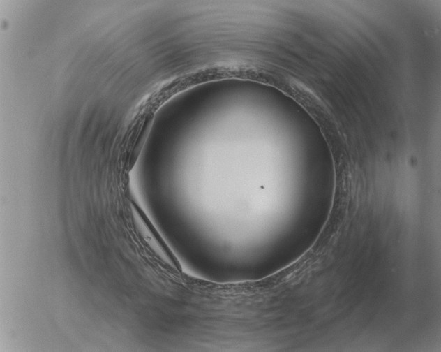 X0000055520776200509022123