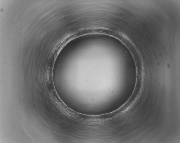 X0000055520777200509022123