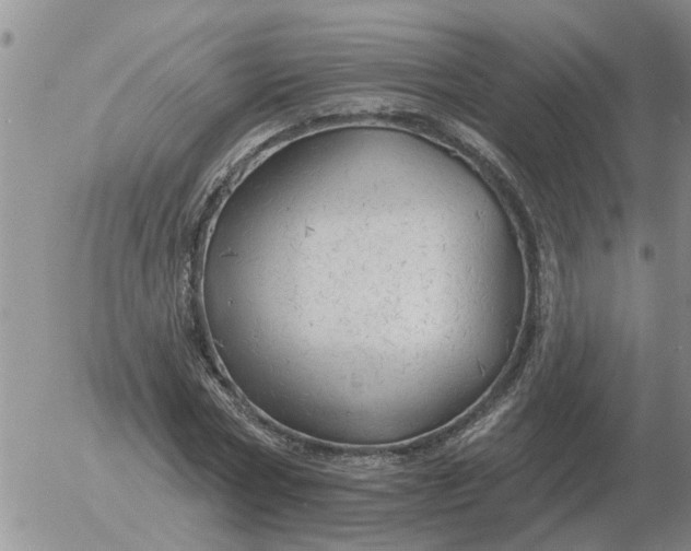 X0000055520778200509022123