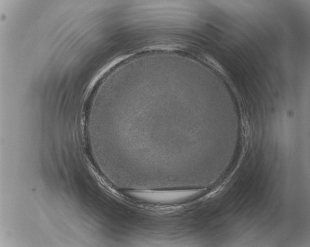 X0000055520779200509022123